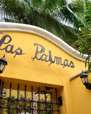 Las Palmas - Palma Xiat & Cocoyol