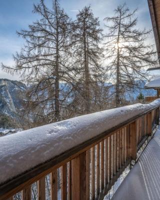 Chalet Le Sorbier by Interhome
