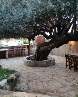 Olive Beach Villa