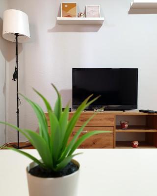 Fenix Apartman