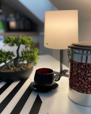 Francis Apartment - Lázeňské centrum