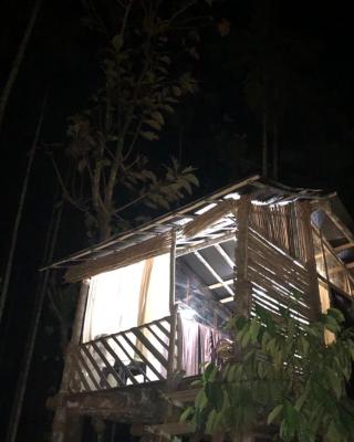 Lotus Jewel Forest Camping