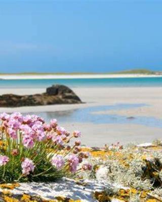 Wild Atlantic Stay Guest House Self-Catering