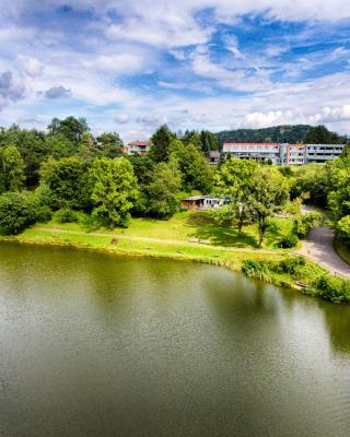 Seehotel am Stausee 4 Sterne Superior