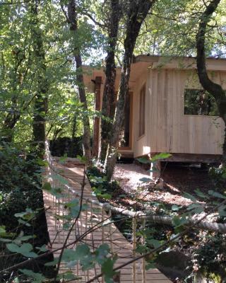 cabane lodge avec spa privatif