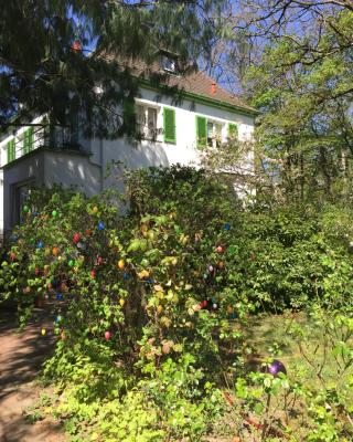 Villa Böhme