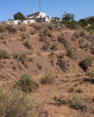 Finca La Pimienta