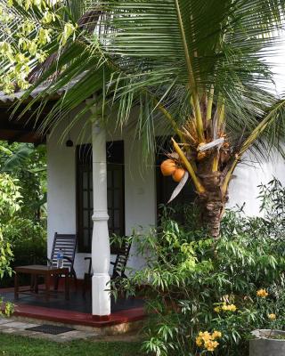 Bay Hill Guest House
