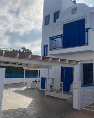 Olive Tree Villa - Protaras