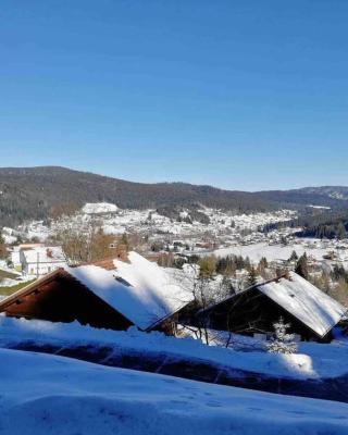 Studio en altitude avec terrasse proche Gerardmer