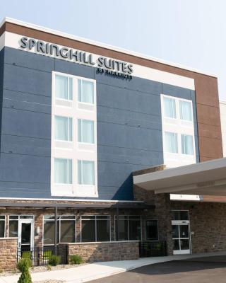 SpringHill Suites by Marriott South Bend Notre Dame Area