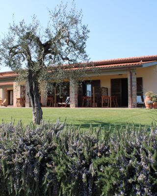 Agriturismo Il vecchio mandorlo