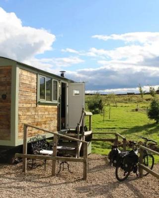 Lizzie off grid Shepherds Hut The Buteland Stop