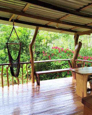 Terra NaturaMa - off grid living in the jungle