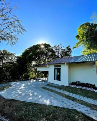 Eucalyptus Cabin Boquete