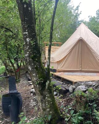 Go Wild Glamping