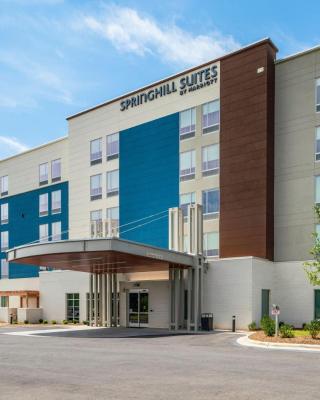SpringHill Suites by Marriott Charlotte Airport Lake Pointe