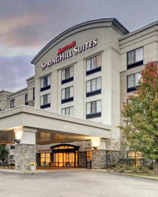 SpringHill Suites by Marriott Wheeling Triadelphia Area