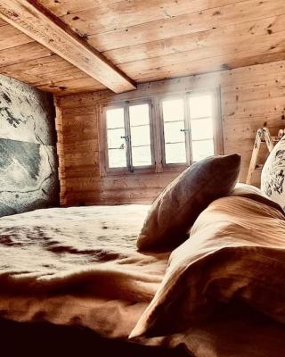 Luxury & Cosy 3.5 rooms apartment in almost 300 years old Chalet