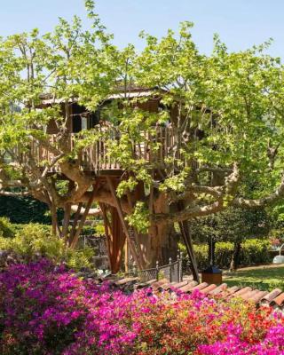 Lake Como Dream Tree House
