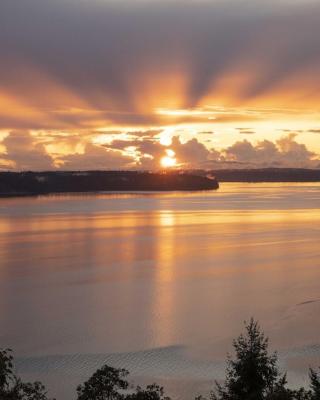 180º Puget Sound View