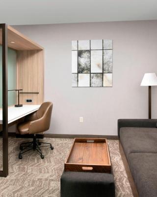 SpringHill Suites by Marriott Albuquerque North/Journal Center