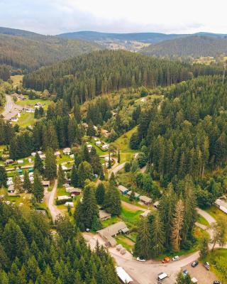 Ferienhäuser & Bungalows - Naturcamp Meyersgrund im Thüringer Wald