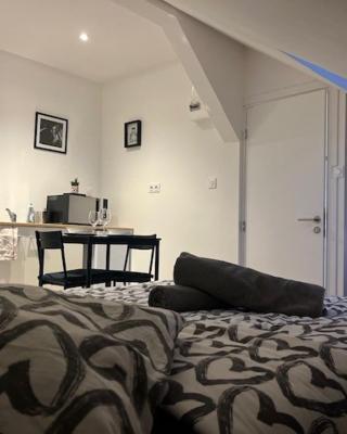 COSY RENT Appartment Strasbourg station Tv Wifi