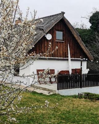 Hét Fenyő Vendégház / Seven Pines Holiday House