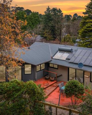 Leura Pines