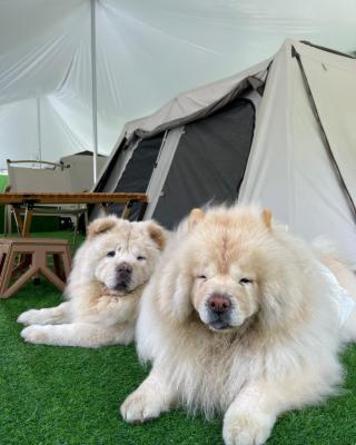 iGo Glamz 爱狗露营 Pet Friendly Glamping