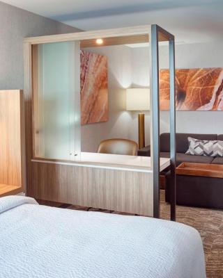 SpringHill Suites by Marriott Grand Rapids West