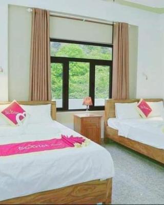 Starlet Hotel Phong Nha