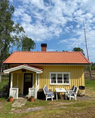 Dalslands-torp nära vattnet