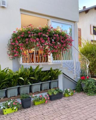 Appartement Le Jardin