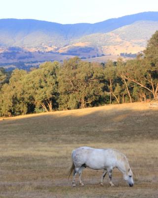 Yackandandah farm homestead