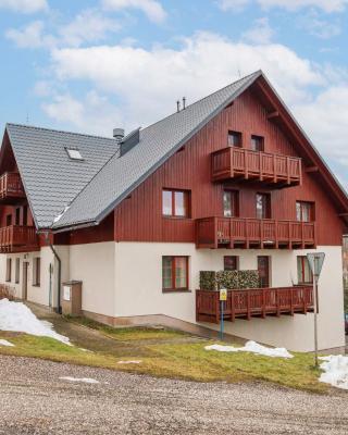 Studio Horní Rokytnice-1 by Interhome