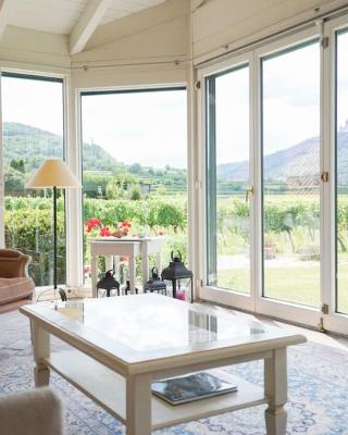 Wonderful Villa among the Vineyards