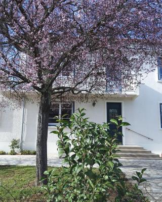 Maison Lumineuse entre Toulouse et Albi