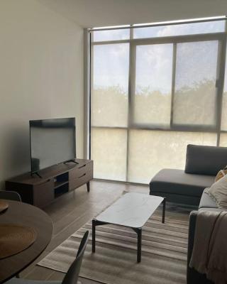 Departamento Tipo Loft, zona ajijic.