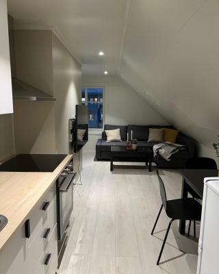 Ny og moderne 2-roms leilighet