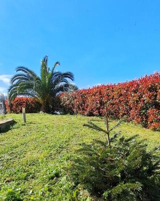 La Bella Addormentata