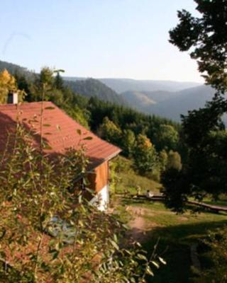 Appartement dans vielle ferme au coeur des Vosges