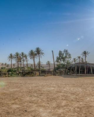 כפר הנוקדים - חדרי אירוח במדבר