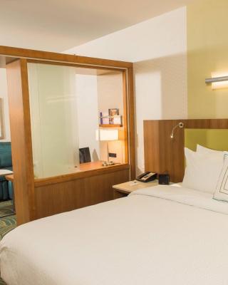 SpringHill Suites by Marriott Buffalo Airport