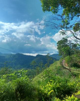 Mountain vibe ella