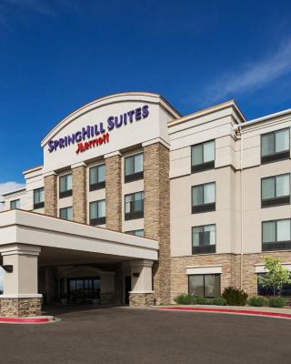 SpringHill Suites by Marriott Denver Airport