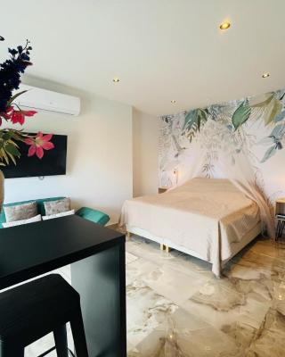 Luxury studio with private jacuzzi near beaches