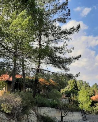 IRENE cottage