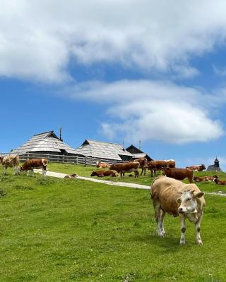 Chalet Korosica Velika Planina